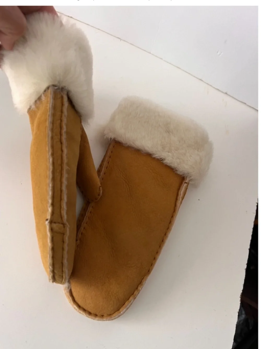 Altare Suede & Shearling Mittens